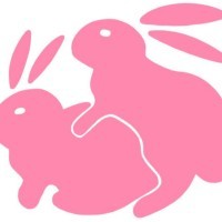 YEGBunnies