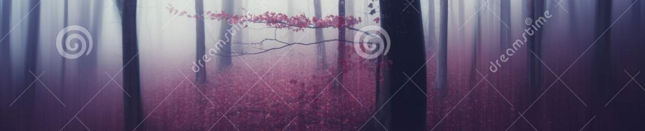 newmystery