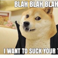maxxedmezzo