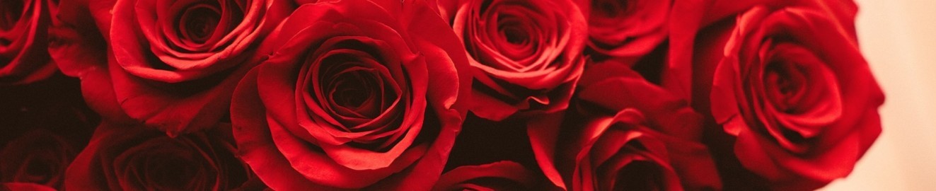 insatiablelove