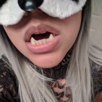 Panda and Tanuki
