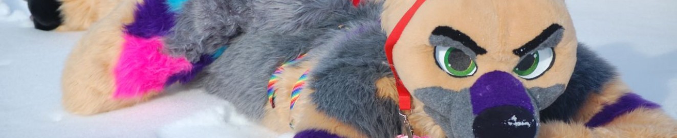 DewClawShep