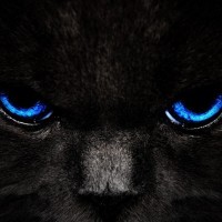 Overlord_Hadari