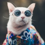 JohnnyNlulu