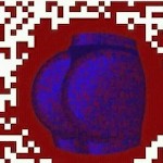 cndbold