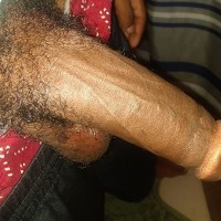 TariqLew
