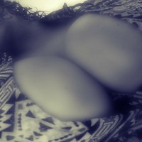 BBWLoves2BFisted