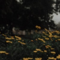 GypsyxRose