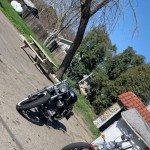 Gordito187