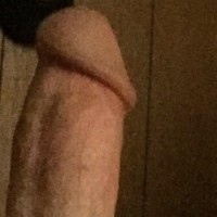LowProGinger