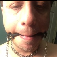 CollaredPigBoy2001
