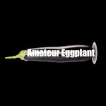 AmateurEggplant