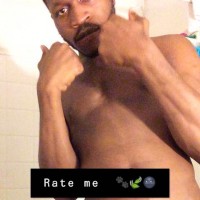 tayrealer