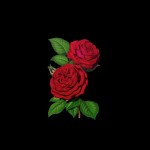 Rose Piper