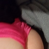 pawgilicious