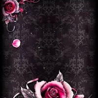 sexcraized