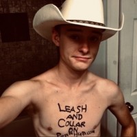 leashandcollar