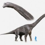 dinoboi6969