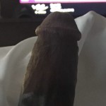 CurvedDick1993