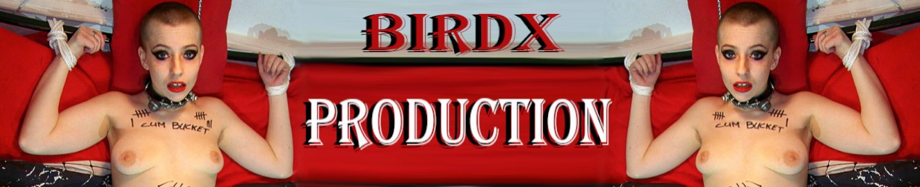 BirdX Production