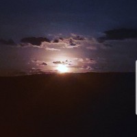 Bre0827
