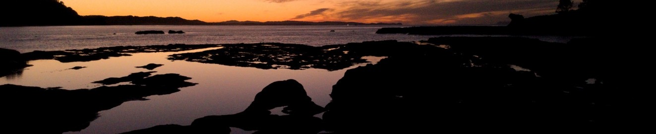 JasXAris
