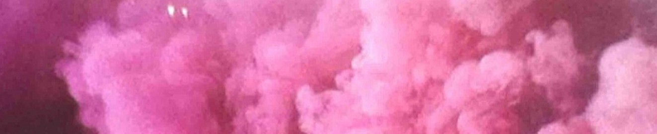 BambiBloom
