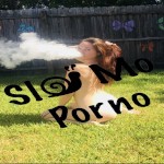 Slo_Mo_Porno