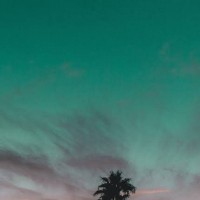 blue_eyesx