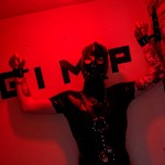 TheGimpAspect