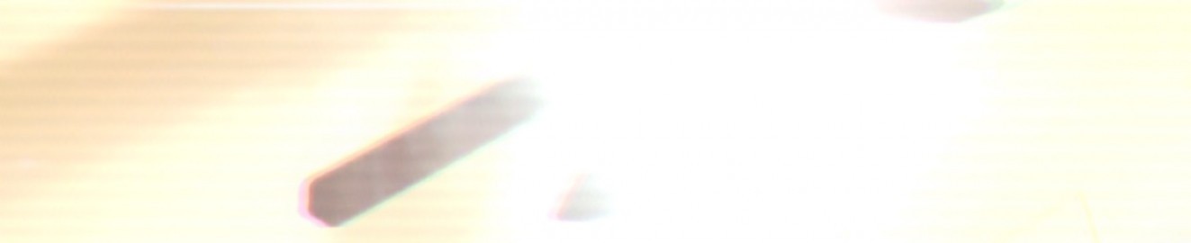 Neshia09