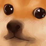 meetplayer