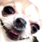 ENNUITV