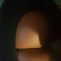 sexibbw2704