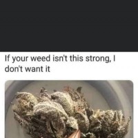 pettyMistress69