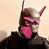 PupDominix