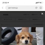 pyuzuq