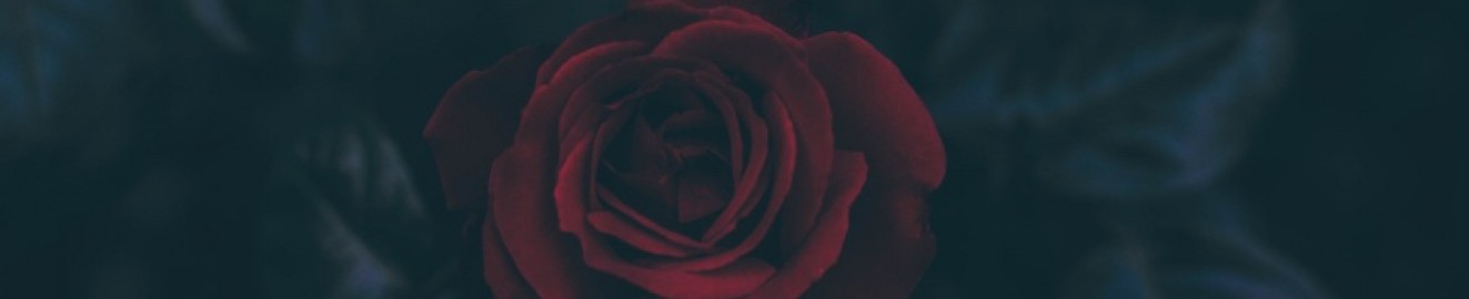 BrieRose