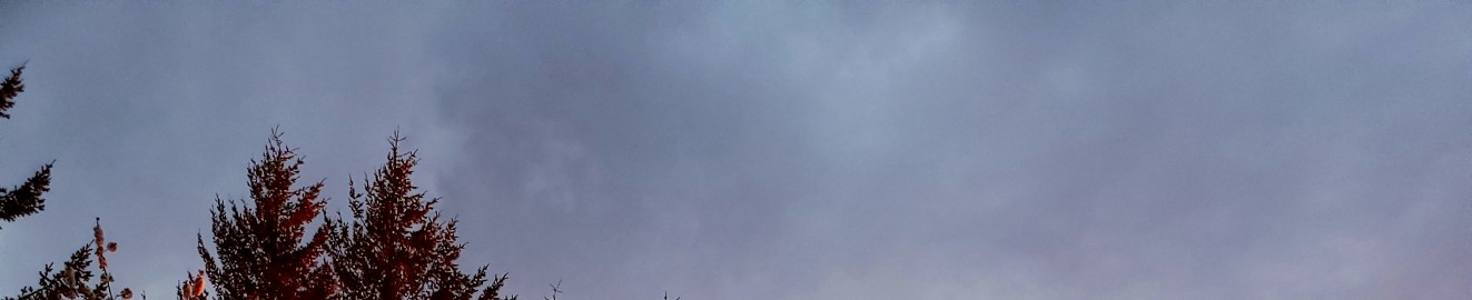 JackandJill PlayingOnTheHill