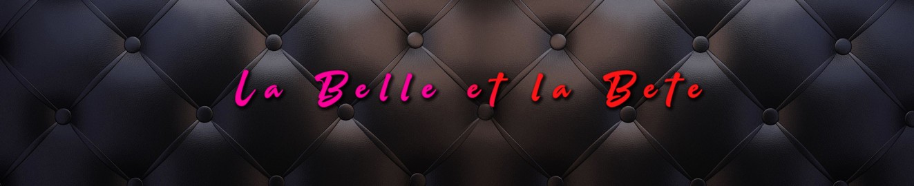 LaBelleEtLaBete69