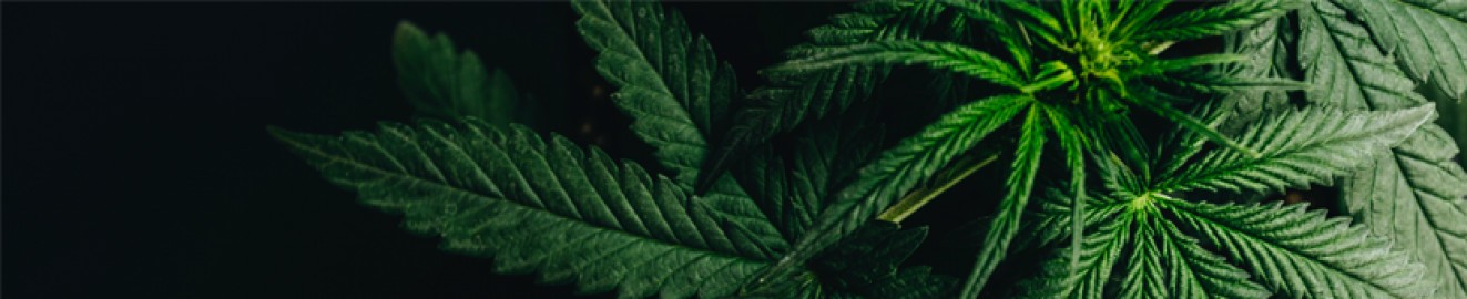 YourDrug25