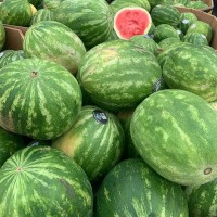 Melon Effet