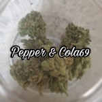 Pepperycola69