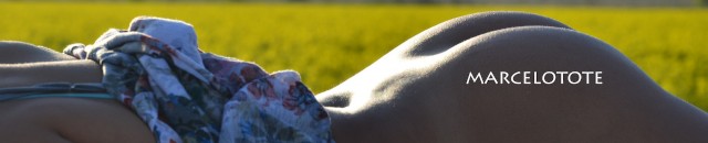 PaoMarcelotote