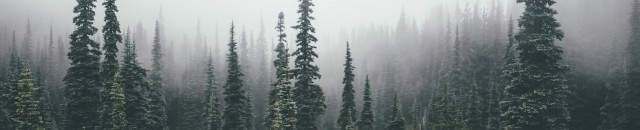 woodlifesex
