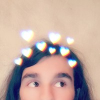 misterrfox