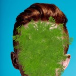 gingerboyhere