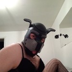 puppystephannie