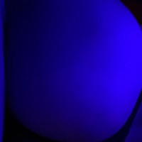 RMona699
