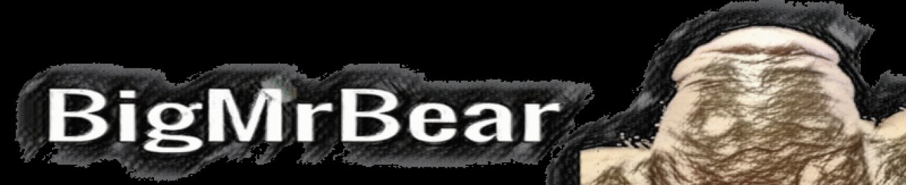 bigmrbear